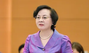 Đề xuất cơ cấu tổ chức bộ máy chính quyền cho đô thị mới Thủy Nguyên