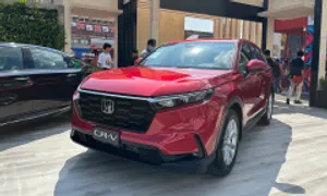 Người Việt tăng mua xe gầm cao cỡ C